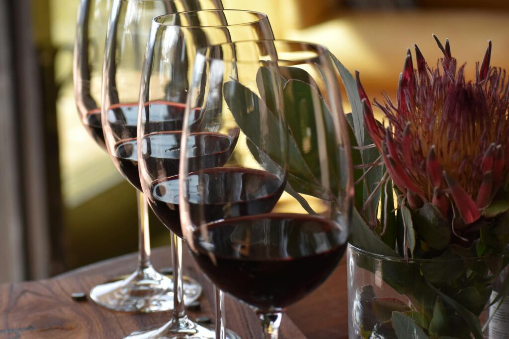 Illustration of Cape Winelands Guide: Stunning Stellenbosch Wine Tours and Best Franschhoek Restaurants